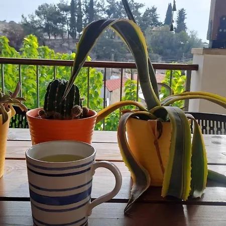 Oikia Roti Appartments